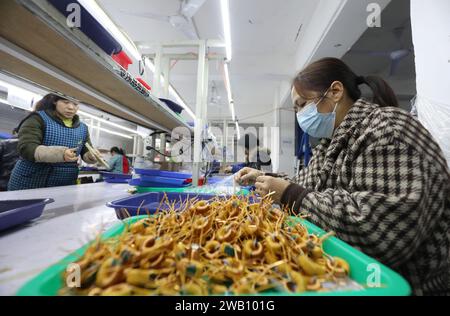 ZIXING, CHINA - 5. JANUAR 2024 - Eine Frau verarbeitet elektronische Teile in einer Elektronikfabrik in Zixing, der zentralchinesischen Provinz Hunan, 5. Januar Stockfoto