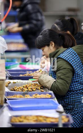 ZIXING, CHINA - 5. JANUAR 2024 - Eine Frau verarbeitet elektronische Teile in einer Elektronikfabrik in Zixing, der zentralchinesischen Provinz Hunan, 5. Januar Stockfoto