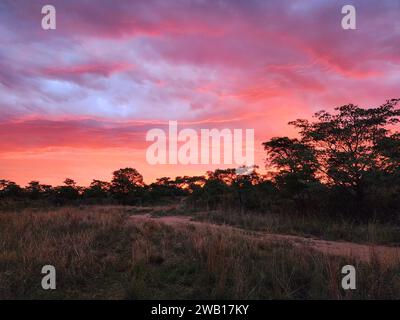 Ein faszinierender Sonnenuntergang färbt den Himmel in einem Farbverlauf von Rosa- und Blautönen und beleuchtet die malerische grasbewachsene Landschaft darunter Stockfoto