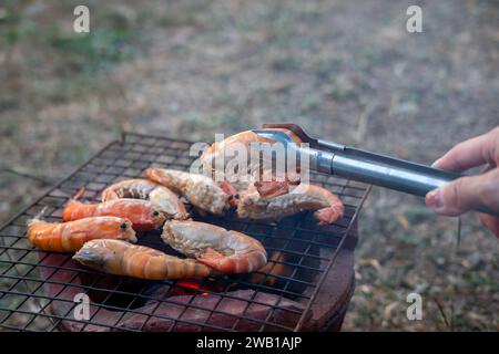 Gegrillte Flussgarnelen auf einem Holzkohlegrill. Stockfoto