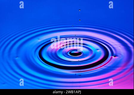 Ein Wassertropfen, der ins Wasser fällt und Wellen erzeugt Stockfoto