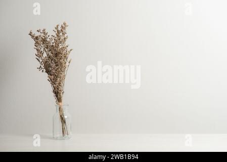 Getrocknete Caspia-Blüten, isoliert über weißem Hintergrund. Stockfoto