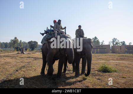 Dehradun, Uttarakhand Indien-17. August 2023-Landschaften von Uttarakhand auf einer wunderschönen Reise mit Elefanten.hochwertige Bilder Stockfoto