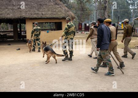 Dehradun, Uttarakhand Indien-17. August 2023- ausgebildete Hunde in Uttarakhand begeben sich auf eine Mission, um illegale Aktivitäten aufzudecken Stockfoto