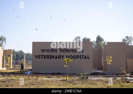 Dehradun, Uttarakhand Indien-17 August 2023-Uttarakhand Tierklinik, wo mitfühlende Pflege auf atemberaubende natürliche Schönheit trifft Stockfoto