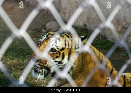 Dehradun, Uttarakhand Indien, 17. August 2023 - Uttarakhand's Jaal, wo ungezähmte Schönheit auf fesselnde Ausblicke trifft. Hochwertige Bilder Stockfoto