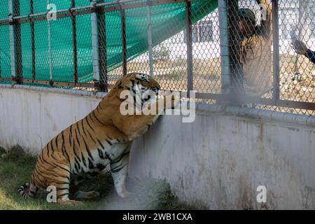 Dehradun, Uttarakhand Indien, 17. August 2023 - Uttarakhand's Jaal, wo ungezähmte Schönheit auf fesselnde Ausblicke trifft. Hochwertige Bilder Stockfoto