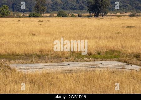 Dehradun, Uttarakhand Indien-17. August 2023 - Schönheit des Landes von Uttarakhand, wo die Natur Landschaften malt. Qualitativ hochwertige Bilder Stockfoto