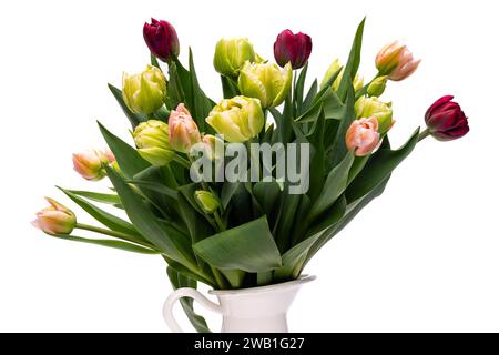 Eleganter gemischter Tulpen-Frühlingsstrauß mit Nahaufnahme auf weißem Hintergrund. Frühlingstulpen. Tulpenstrauß. Stockfoto