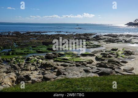 Sandstrand Plage du Trez Hir in Plougonvelin an der Atlantikküste an der Mündung der Bucht von Brest, rechts Fort de Bertheaume, dahinter Stockfoto