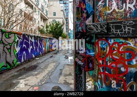 Die Graffiti Alley, auch bekannt als Rush Lane, ist ein verstecktes Juwel im Modeviertel von Toronto. Es ist eine enge Gasse, die von farbenfrohen Wandmalereien und Straßen gesäumt ist Stockfoto