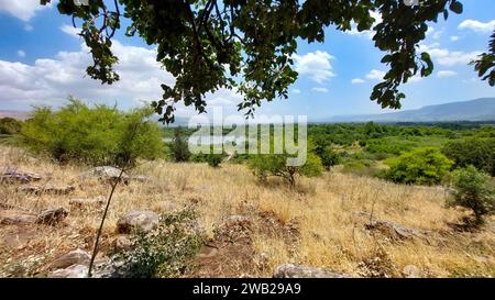 Der Hasbani River entspringt dem Jordan River Stockfoto