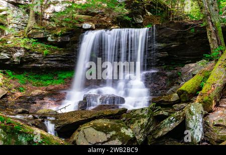 Ein malerischer Blick auf den Wasserfall im Ricketts Glen State Park, Pennsylvania Stockfoto