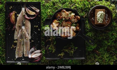 Heringsfilet mit Kapern, Salzflocken, roten Zwiebeln und Pfeffer, Kartoffeln mit Waldpilzen und Brotscheibe mit Kräuterbutter auf schwarzem Tablett Stockfoto