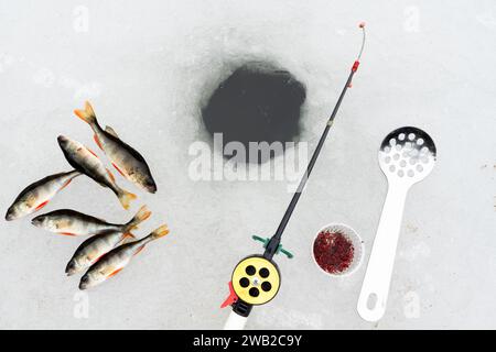 Winterfischkonzept mit Angelrute, Blutwurmköder und Barschfischen in der Nähe des Eislochs Stockfoto