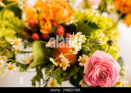 Bunte Anordnung von Blütenblüten Stockfoto