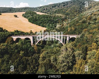 Luftaufnahme der historischen Steinbahnbrücke in der Slowakei. Hohe, vollständig erhaltene Steinbogenbahnbrücke. Stockfoto