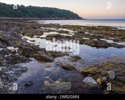 Rock Pools, Castle Beach, Falmouth, Großbritannien. Stockfoto