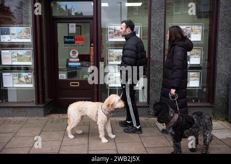 Besitzer mit ihren Hunden, die in einem Immobilienmaklerfenster auf Immobilienanzeigen in Southwest London, England, Großbritannien schauen Stockfoto
