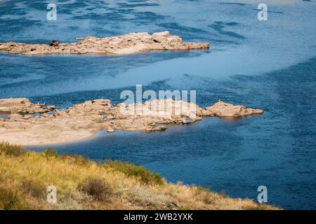 Steine im Wasser ähneln Krokodilen Stockfoto