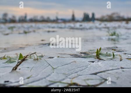 Ein gefrorenes Feld in Tetcice, Region Brünn, Tschechische Republik, 8. Januar 2024. Das aktuelle Frostwetter kann in einigen Gebieten zu Schäden an Winterfrüchten führen. (C Stockfoto