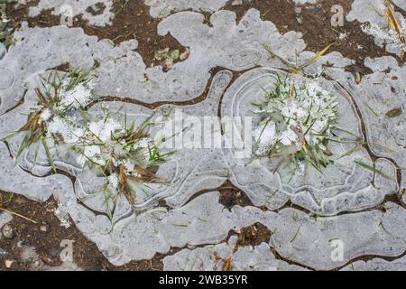 Ein gefrorenes Feld in Tetcice, Region Brünn, Tschechische Republik, 8. Januar 2024. Das aktuelle Frostwetter kann in einigen Gebieten zu Schäden an Winterfrüchten führen. (C Stockfoto