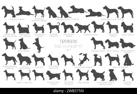 Hunde züchten Silhouetten, einfaches Clipart. Jagdhunde, Terrier-Kollektion. Vektorabbildung Stock Vektor