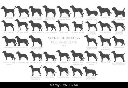 Der Hund züchtet Silhouetten mit Schriftzug, schlichtem Clipart. Jagdhunde Scentounds, Hundesammlung. Vektorabbildung Stock Vektor