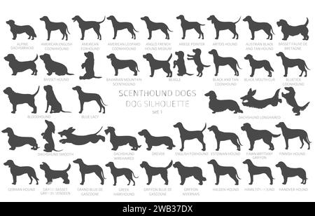 Der Hund züchtet Silhouetten mit Schriftzug, schlichtem Clipart. Jagdhunde Scentounds, Hundesammlung. Vektorabbildung Stock Vektor