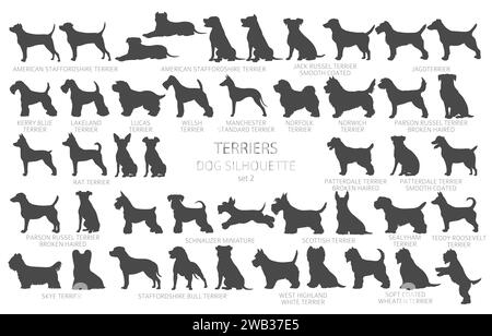 Hunde züchten Silhouetten, einfaches Clipart. Jagdhunde, Terrier-Kollektion. Vektorabbildung Stock Vektor