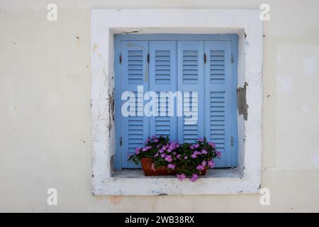 Fenster eines Hauses mit geschlossenen blauen Fensterläden. Topf mit rosafarbenen Blüten einer Pflanze. Kassiopi, Korfu, Griechenland. Stockfoto