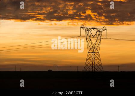Die Silhouette eines elektrischen Pylons gegen einen goldenen afrikanischen Sonnenaufgang Stockfoto