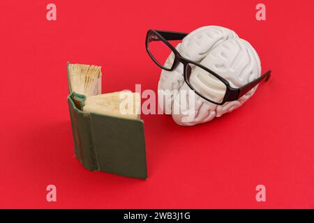 Menschliches Gehirn mit Brille, komplett in das Lesen eines Buches eingetaucht, auf rotem Hintergrund. Entdeckung neuer Ideen, neues Wissen. Stockfoto