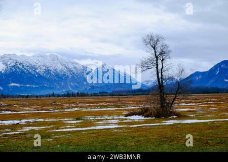 DEU, Deutschland, Bayern, Murnau, 13.12.2023: Blick nach Süden über das Naturschutzgebiet Murnauer Moos in Oberbayern *** DEU, Germany, Bavaria, Murnau, 13 12 2023 Blick nach Süden über das Naturschutzgebiet Murnauer Moos in Oberbayern Stockfoto