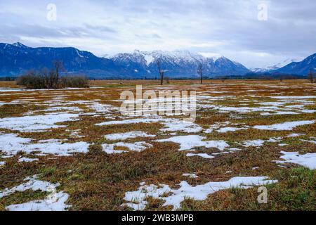 DEU, Deutschland, Bayern, Murnau, 13.12.2023: Blick nach Süden über das Naturschutzgebiet Murnauer Moos in Oberbayern *** DEU, Germany, Bavaria, Murnau, 13 12 2023 Blick nach Süden über das Naturschutzgebiet Murnauer Moos in Oberbayern Stockfoto