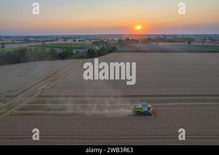 Luftaufnahme Mähdrescher, der Weizenkörner auf großem Feld beim frühen Sonnenuntergang im Sommer in Norditalien drescht Stockfoto