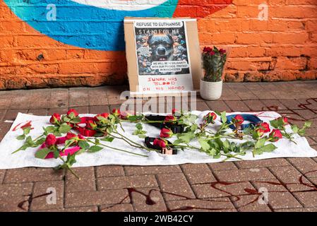 Protest in der High Street von Southend gegen das Verbot der Regierung für XL-Bullhunde mit einer „Gedenkstätte“ aus Hundehalsband, roten Rosen und gefälschtem Blut Stockfoto