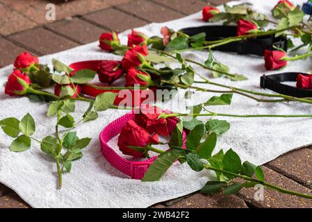 Protest in der High Street von Southend gegen das Verbot der Regierung für XL-Bullhunde mit einer „Gedenkstätte“ aus Hundehalsband, roten Rosen und gefälschtem Blut Stockfoto