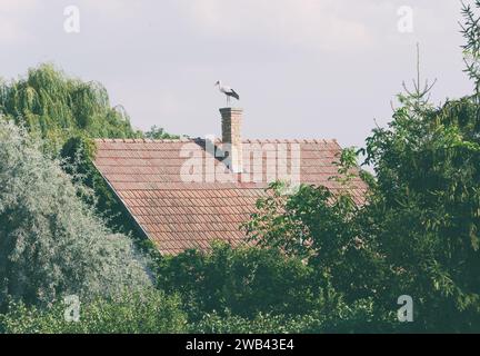 Auf einem gekachelten Dach sitzt ein Kamin mit einem Storch, umgeben von Bäumen Stockfoto