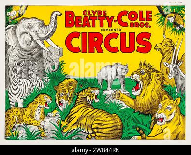Clyde Beatty - Cole Bros. Zirkus feat Zirkustiere: Bär, Zebra, Löwen, Tiger, Leopard, Kamel und Zirkuselefant (1958) Stockfoto