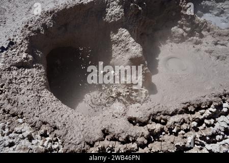 Ausbrechende und planschende heiße Quellen und Schlammbecken, Sol de Mañana, Bolivien. Stockfoto