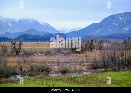 DEU, Deutschland, Bayern, Murnau, 13.12.2023: Blick nach Süden über das Naturschutzgebiet Murnauer Moos in Oberbayern *** DEU, Germany, Bavaria, Murnau, 13 12 2023 Blick nach Süden über das Naturschutzgebiet Murnauer Moos in Oberbayern Stockfoto