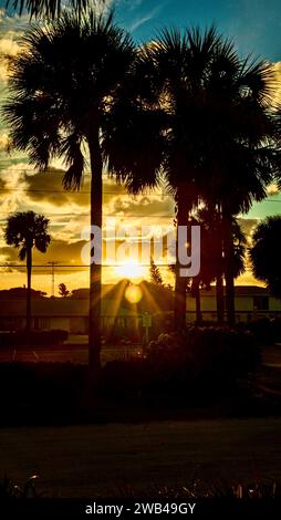 Ein atemberaubendes Bild von zwei Palmen, die sich vor einem wunderschönen Sonnenuntergang über dem Meer befinden Stockfoto