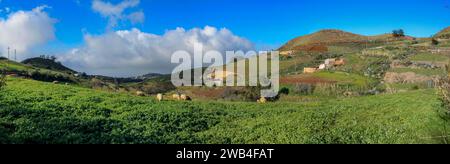 Panoramablick auf Schafweiden in Caideros, Gran Canaria Stockfoto