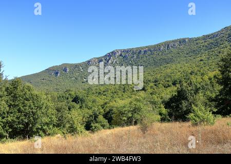 Der Nationalpark Galicica in Nordmakedonien bei Elshani Stockfoto