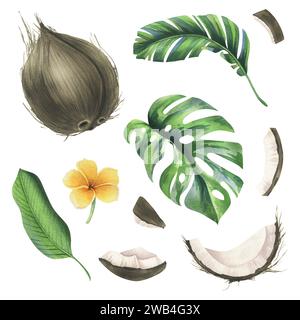 Kokosnüsse ganz, Hälften und Stücke mit hellen, grünen, tropischen Palmenblättern und gelben Plumerieblättern. Handgezeichnete Aquarellillustration. Satz von Stockfoto