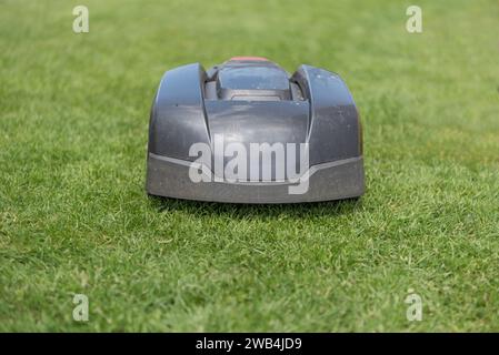 Rasenmäher schneidet grünes Gras. Arbeiten Sie allein im Garten - Roboter Stockfoto