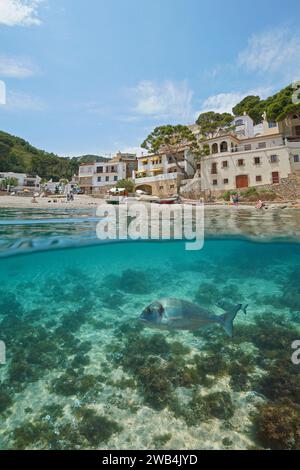 Mittelmeer-Dorf Uferpromenade an der Costa Brava in Spanien mit Fisch unter Wasser, geteilter Blick über und unter der Wasseroberfläche, natürliche Szene, Sa Thunfisch Stockfoto