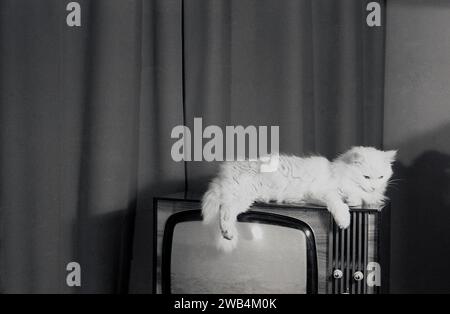 1960er Jahre, historisch, in einem vorderen Zimmer oder Lounge, eine Katze, die sich entspannt, auf einem Fernsehset der Ära liegend, England, Großbritannien. Stockfoto