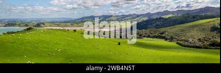 Bauernhof im Duder Regional Park mit Schafweiden auf der Te IKA-a-Maui (Nordinsel) von Aotearoa (Neuseeland), Tamaki Makaurau (Aucklan Stockfoto